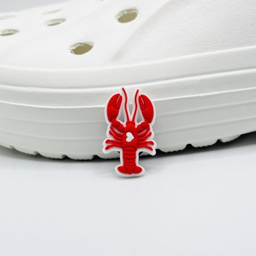 IMG_9091 Friends Shoe Charm 19
