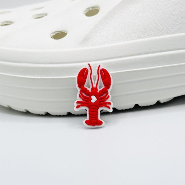 IMG_9091 Friends Shoe Charm 19